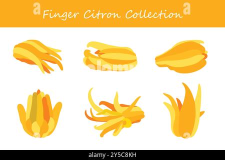 prélèvement de citron au doigt dans différentes poses. Illustration vectorielle. Illustration de Vecteur
