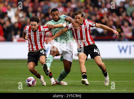 Callum O'Hare de Sheffield United, Curtis Nelson de Derby County et Sydie Peck de Sheffield United se battent pour le ballon lors du Sky Bet Championship match à Bramall Lane, Sheffield. Date de la photo : samedi 21 septembre 2024. Banque D'Images