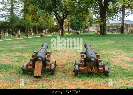 Deux canons antiques reposent sur le terrain bien préservé du château de Ostrožac en Bosnie-Herzégovine. Banque D'Images