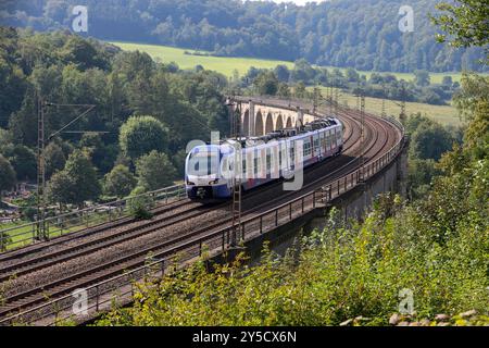 Eisenbahnverkehr auf dem Eisenbahnviadukt Altenbeken. S-Bahn Zug der S-Bahn Hannover Transdev Hannover, S5 Paderborn - Hannover Flughafen. Eingesetzt werden Stadler Flirt 3XL Triebzüge. Altenbeken, Nordrhein-Westfalen, DEU, Deutschland, 03.09.2024 *** trafic ferroviaire sur le viaduc ferroviaire Altenbeken train S Bahn de S Bahn Hannover Transdev Hannover , S5 Paderborn Hannover Aéroport Stadler Flirt 3XL plusieurs unités sont utilisées Altenbeken, Nordrhein Westfalen, DEU, Allemagne, 03 09 2024 Banque D'Images