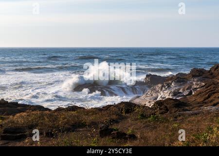 Waves Crashing on Rocks, Boiler Bay State Park, Oregon Coast, États-Unis Banque D'Images