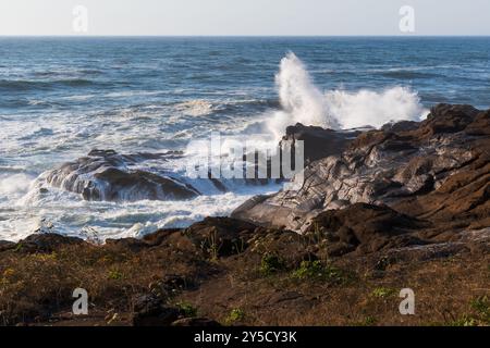 Waves Crashing on Rocks, Boiler Bay State Park, Oregon Coast, États-Unis Banque D'Images