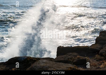 Waves Crashing on Rocks, Boiler Bay State Park, Oregon Coast, États-Unis Banque D'Images