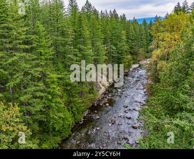 Vue de la rivière Snoqualmie depuis un drone à North Bend, Washington. Banque D'Images