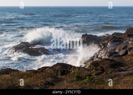 Waves Crashing on Rocks, Boiler Bay State Park, Oregon Coast, États-Unis Banque D'Images