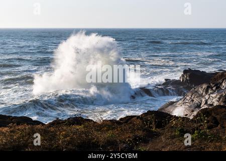 Waves Crashing on Rocks, Boiler Bay State Park, Oregon Coast, États-Unis Banque D'Images