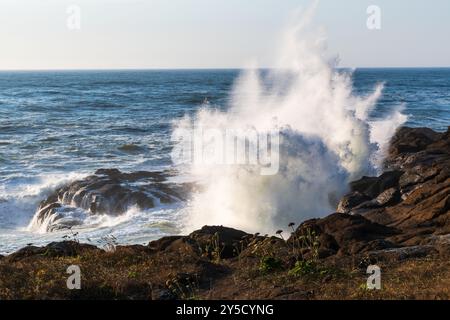 Waves Crashing on Rocks, Boiler Bay State Park, Oregon Coast, États-Unis Banque D'Images