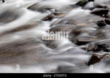 Running Water, Horner Wood, Somerset, Royaume-Uni Banque D'Images