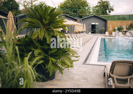 Grands pots et plante dans le jardin. Décoration extérieure près de la piscine Banque D'Images