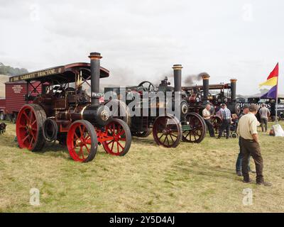 Moteurs de traction exposés au Berwick St John Country Fayre 2024 Banque D'Images