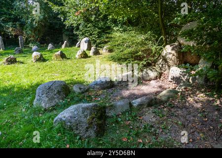 Roche de rune et chambre funéraire de dolmen de l'âge néolithique, site du patrimoine régional d'Arltberg. Guly Thing. Le site Gulde Thing est un rappel de la culture viking. Kirchenweg, Geltinger Bucht, Schleswig-Holstein, Schleswig-Holstein, Allemagne Banque D'Images