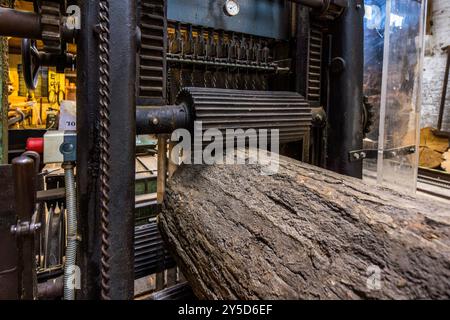 Usine Amanda, scie collective pour couper des grumes dans l'usine Amanda à Kappel, construite en 1888, de conception néerlandaise et la seule scierie et broyage combinés dans le Schleswig-Holstein. Exploité comme moulin à grain jusqu'en 1964 et encore utilisé aujourd'hui comme scierie avec un atelier d'exposition. Le moulin Amanda à Kappeln est un moulin à vent dans lequel une scierie est encore en activité aujourd'hui comme un musée fonctionnel. Schleswiger Straße, Kappeln, Schleswig-Holstein, Allemagne Banque D'Images