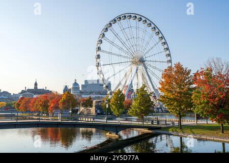 Vieux-Port de Montréal en automne. Érables rouges et vieux horizon de Montréal reflétés sur le fleuve Lawrence. Saison de feuillage d'automne à Montréal, Québec, Canada. Banque D'Images