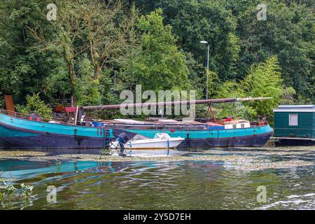 Ancienne barge utilisée comme péniche sur la rive du canal maritime en dehors de la ville de Maastricht, petit bateau, eau avec des plantes aquatiques en surface, arbres feuillus sur backgr Banque D'Images