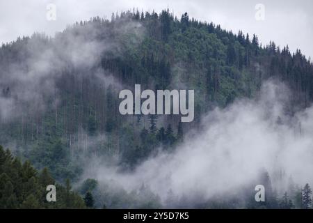 brouillard sur la montagne avant la pluie Banque D'Images