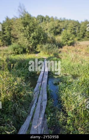 Une passerelle rustique en bois s'étend sur un petit ruisseau au cœur d'une prairie verdoyante, entourée de hautes herbes et d'arbres, offrant une pause tranquille Banque D'Images