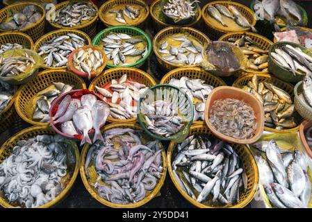 Étalage de marché de poisson et de fruits de mer frais dans la ville de xiamen chine Banque D'Images