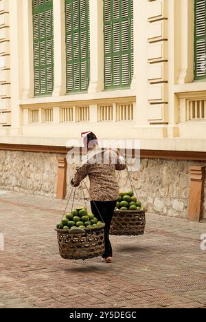 Vendeur de nourriture femme hanoi vietnam Street Banque D'Images