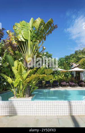 Jardin tropical exotique de la piscine du complexe à kep cambodge Banque D'Images