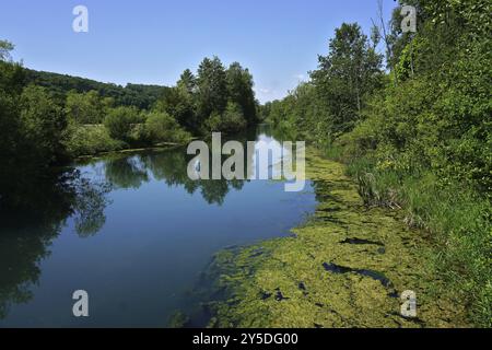 Die Blau BEI Blaustein-Herrlingen, Souabe Alb, Bade-Wuerttemberg, Allemagne, la rivière bleue à Blaustein-Herrlingen, Souabe Alb, Allemagne, Europe Banque D'Images