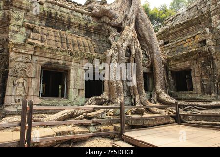 Complexe du temple de TA Prohm près d'Angkor Wat au Cambodge Banque D'Images