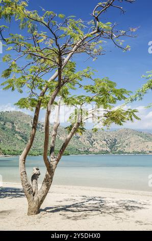 Plage d'Areia branca près de dili timor oriental, timor leste Banque D'Images