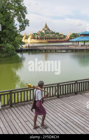 Péniche royale dans le parc de yangon myanmar Banque D'Images