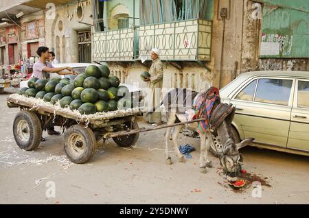 Scène de rue avec vendeur de pastèque dans la vieille ville du caire egypte Banque D'Images