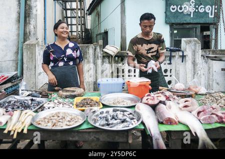 Étal de poisson birman près du marché central de yangon au myanmar Banque D'Images