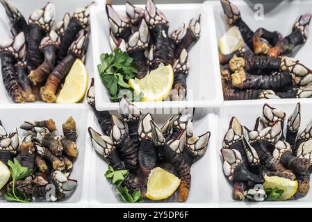 Fresh perçoit les bernacles d'oie rares fruits de mer inhabituels exposés au Portugal Banque D'Images