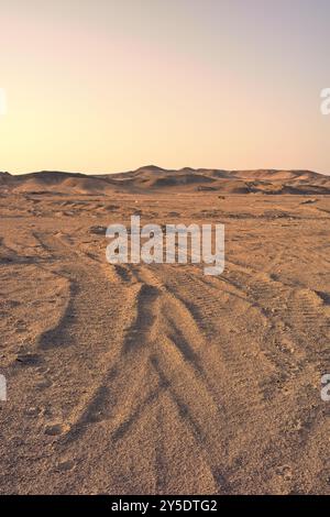 Désert du Sahara avec traces de pneus visibles au coucher du soleil, foyer avant, Egypte. Banque D'Images