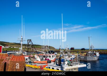 Bateaux de pêche et casiers à crabe à Branch, Terre-Neuve-et-Labrador, Canada Banque D'Images