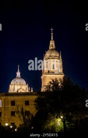 Catedral de Salamanca de noche. La imagen resalta la majestuosidad de la arquitectura Gótica y plateresca en contraste con el entorno oscuro. España Banque D'Images