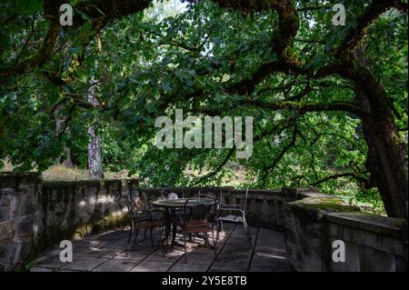 Coin de rêve avec table et chaises près des châteaux de Peles et Pelisor pendant l'automne dans la forêt de Sinaia, Transylvanie, Roumanie Banque D'Images