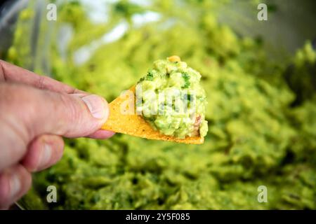 Guacamole à l'avocat traditionnel et assaisonnements classiques avec des nachos tortilla de maïs Banque D'Images