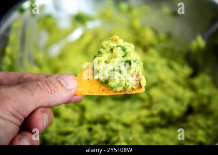 Guacamole à l'avocat traditionnel et assaisonnements classiques avec des nachos tortilla de maïs Banque D'Images