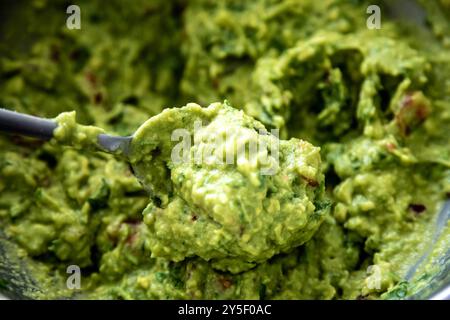 Guacamole à l'avocat traditionnel et assaisonnements classiques avec des nachos tortilla de maïs Banque D'Images