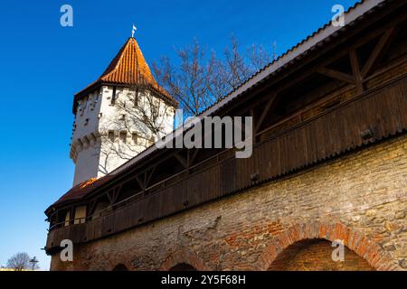 Mur de défense et la tour des charpentiers, l'un des bâtiments qui fait partie du mur défensif de la vieille ville de Sibiu, Roumanie Banque D'Images