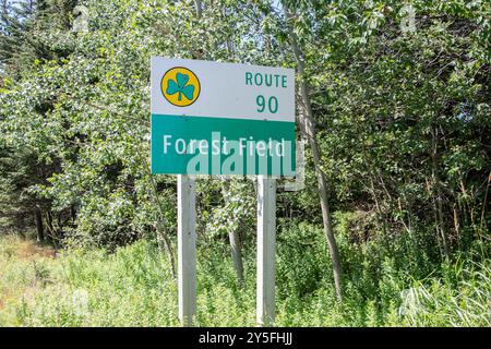 Panneau route 90 à Forest Field, Terre-Neuve-et-Labrador, Canada Banque D'Images