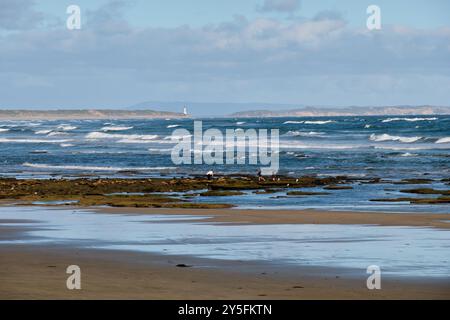 Marée basse sur la plage - Ocean Grove, Victoria, Australie Banque D'Images