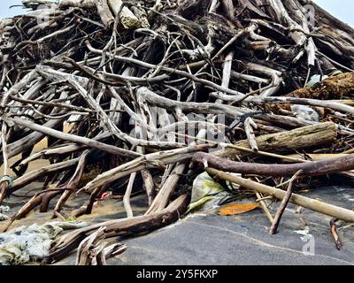 grande pile composée de branches et de brindilles situées sur la plage Banque D'Images