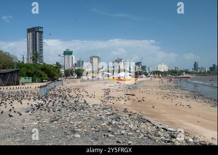 Mumbai, Inde - 17 septembre 2024 vue de Girgaon chowpatty et du gratte-ciel de Mumbai à Girgaon Mumbai dans le Maharashtra Inde Banque D'Images