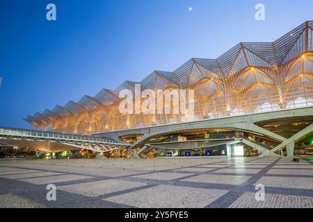 Gare do Oriente in Parque das Nações - Gare Oriente in Park of the Nations - de Santiago Calatrava architecte, Lisboa, Portugal Banque D'Images