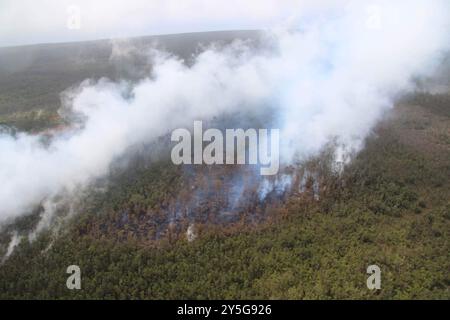 Kilauea (États-Unis d'Amérique). 17 septembre 2024. Kilauea (États-Unis d'Amérique). 17 septembre 2024. De la vapeur et du gaz volcanique s’échappent de l’éruption de la zone East Rift, provoquant la combustion de la forêt à l’intérieur du cratère Napau du volcan Kilauea dans le parc national des volcans d’Hawaï, le 17 septembre 2024 à Hawaï. Crédit : Michael Zoeller/USGS/Alamy Live News Banque D'Images