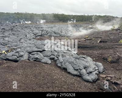 Kilauea (États-Unis d'Amérique). 20 septembre 2024. Kilauea (États-Unis d'Amérique). 20 septembre 2024. Des coulées de lave de Pahoehoe ont pavé le plancher du cratère Napau du volcan Kilauea de la récente éruption de la zone East Rift au parc national des volcans d’Hawaï, le 20 septembre 2024 à Hawaï. Pahoehoe se caractérise par des textures de surface lisses, bouffantes et ondulées. Credit : Matthew Patrick/USGS/Alamy Live News Banque D'Images