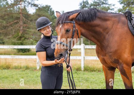 Main de pilote femelle caressant doucement la belle épaisse mane de cheval rouge, gros plan. Equitation et animal amoureux concept. Banque D'Images