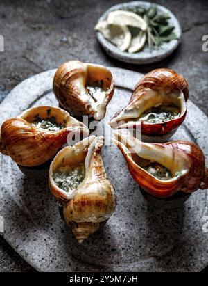 Escargots géants chiliens avec beurre, ail et herbes sur plaque de pierre grise. escargot de l'océan pacifique Banque D'Images