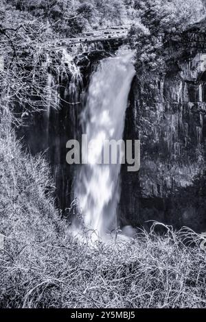 Une photographie captivante en noir et blanc représentant une puissante cascade descendant dans une gorge escarpée et rocheuse, entourée d'éléments naturels et salut Banque D'Images
