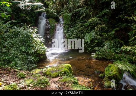 Chutes d'eau Munyaga dans le parc national impénétrable de Bwindi dans le sud-ouest de l'Ouganda Banque D'Images