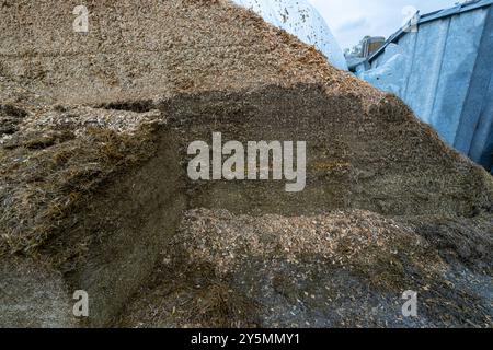 Face de la pince d'ensilage, montrant différentes couches de récolte. Rietberg, Rhénanie du Nord-Westphalie, Allemagne Banque D'Images